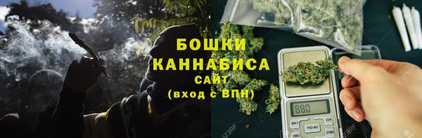 PSILOCYBIN Абдулино