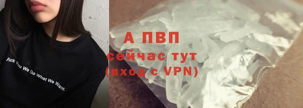гашик Абинск