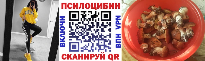 Псилоцибиновые грибы мухоморы  купить  цена  Сусуман 